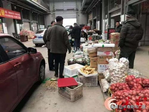 長(zhǎng)春市多措并舉保障市民“菜籃子”供應(yīng)與新鮮水果零售穩(wěn)定